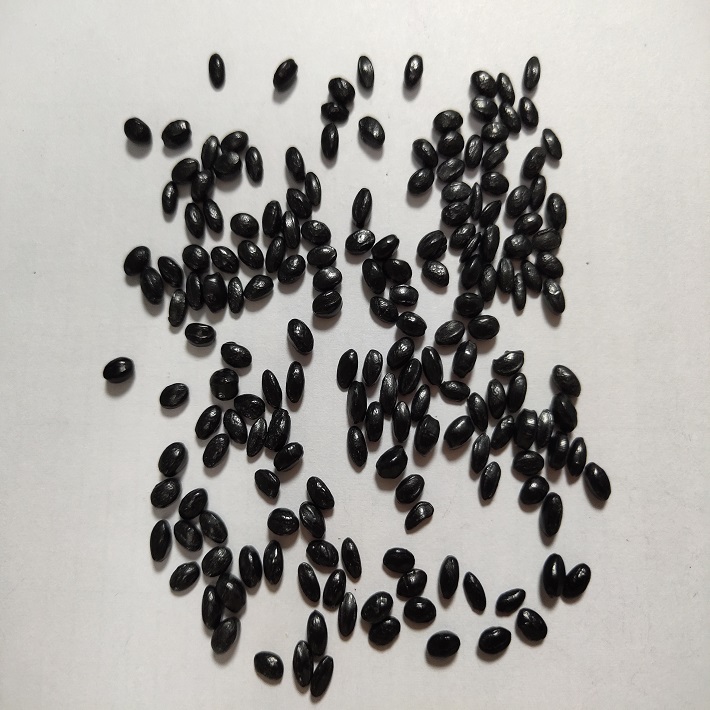 黑色MasterBatch 2050